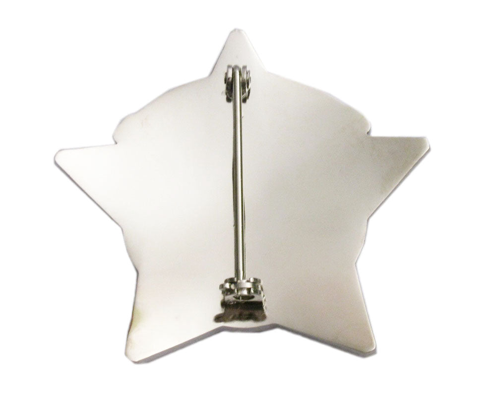 6 CPD U.S. Chicago Police Badges Set