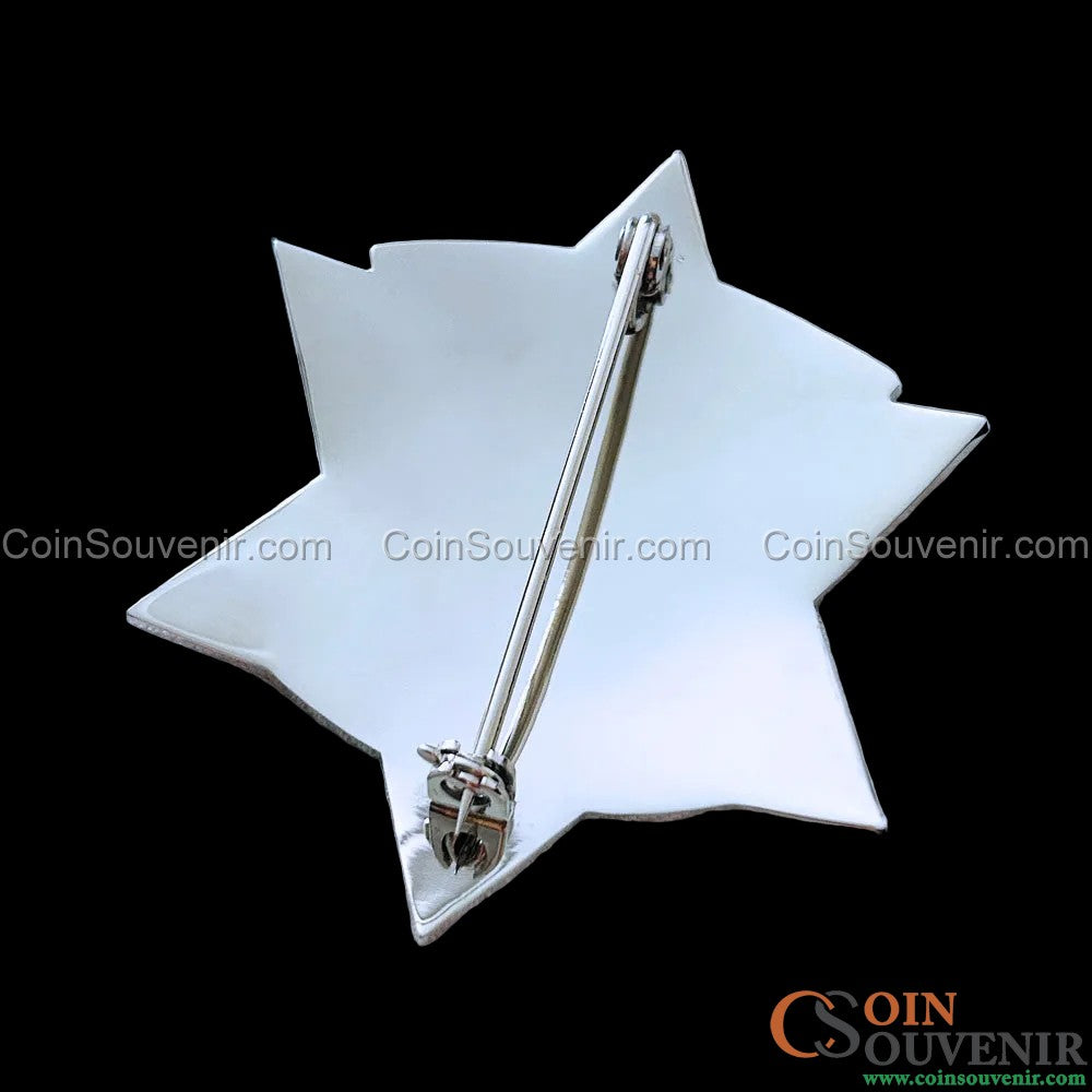 CCSPD Cook County Sheriff’s Police Officer Badge