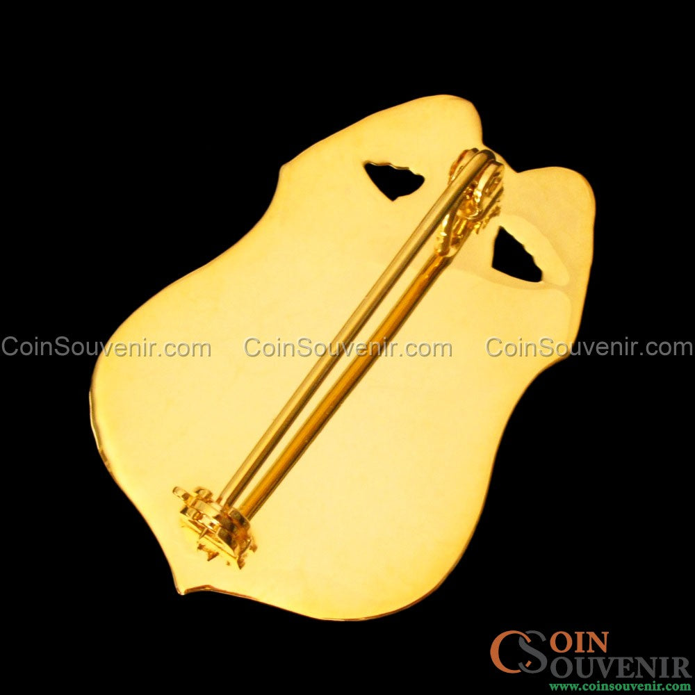 Abzeichen für Spezialagenten der Ermittlungsabteilung des US-Justizministeriums (OIG)