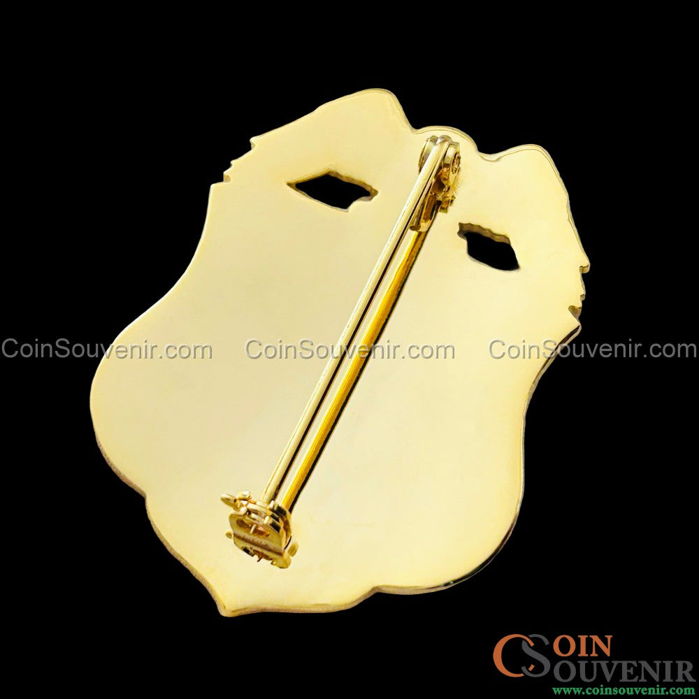 CIA DS Directorate of Support Federal Officer Badge