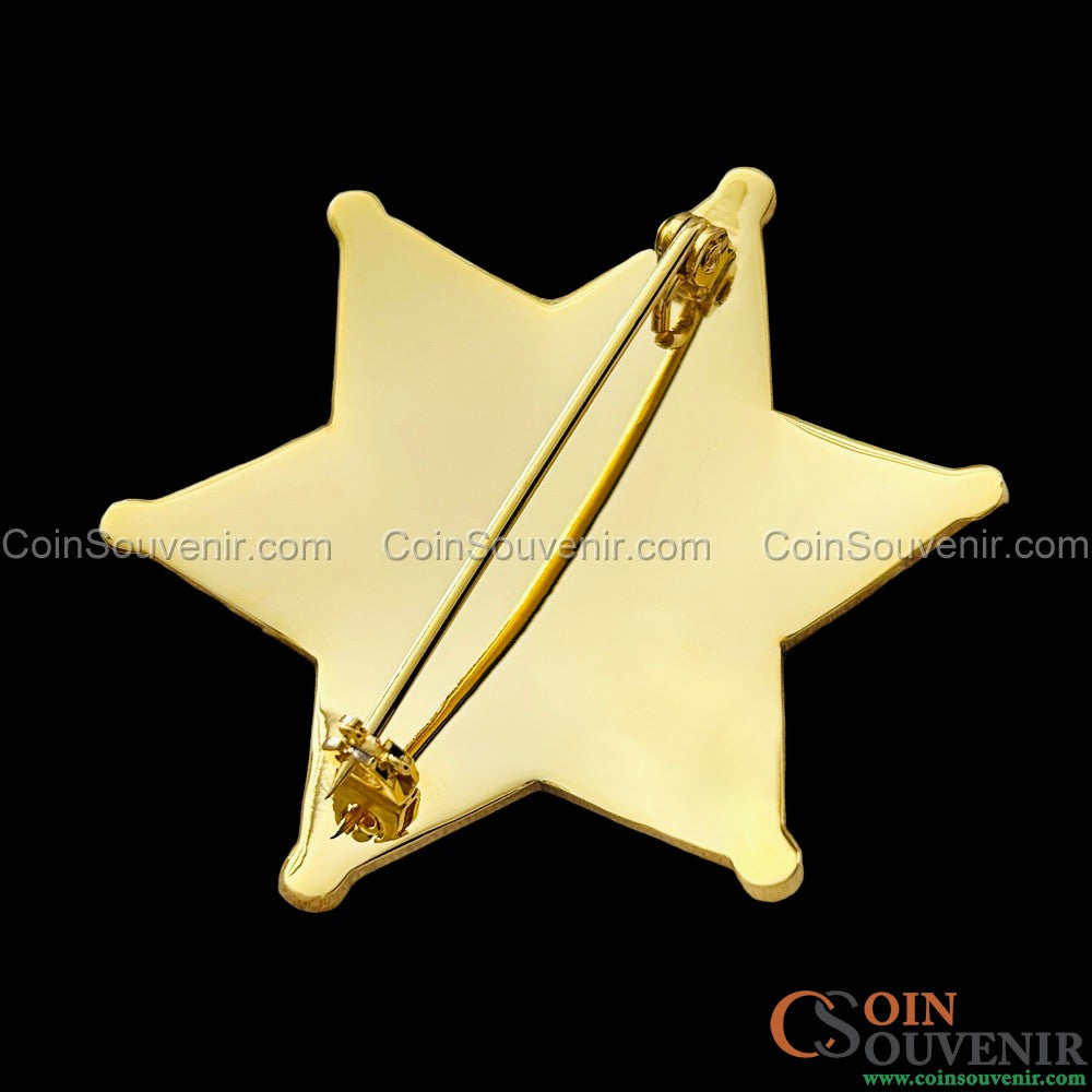 VCSO Ventura County Deputy Sheriff Star Badge Museum Quality