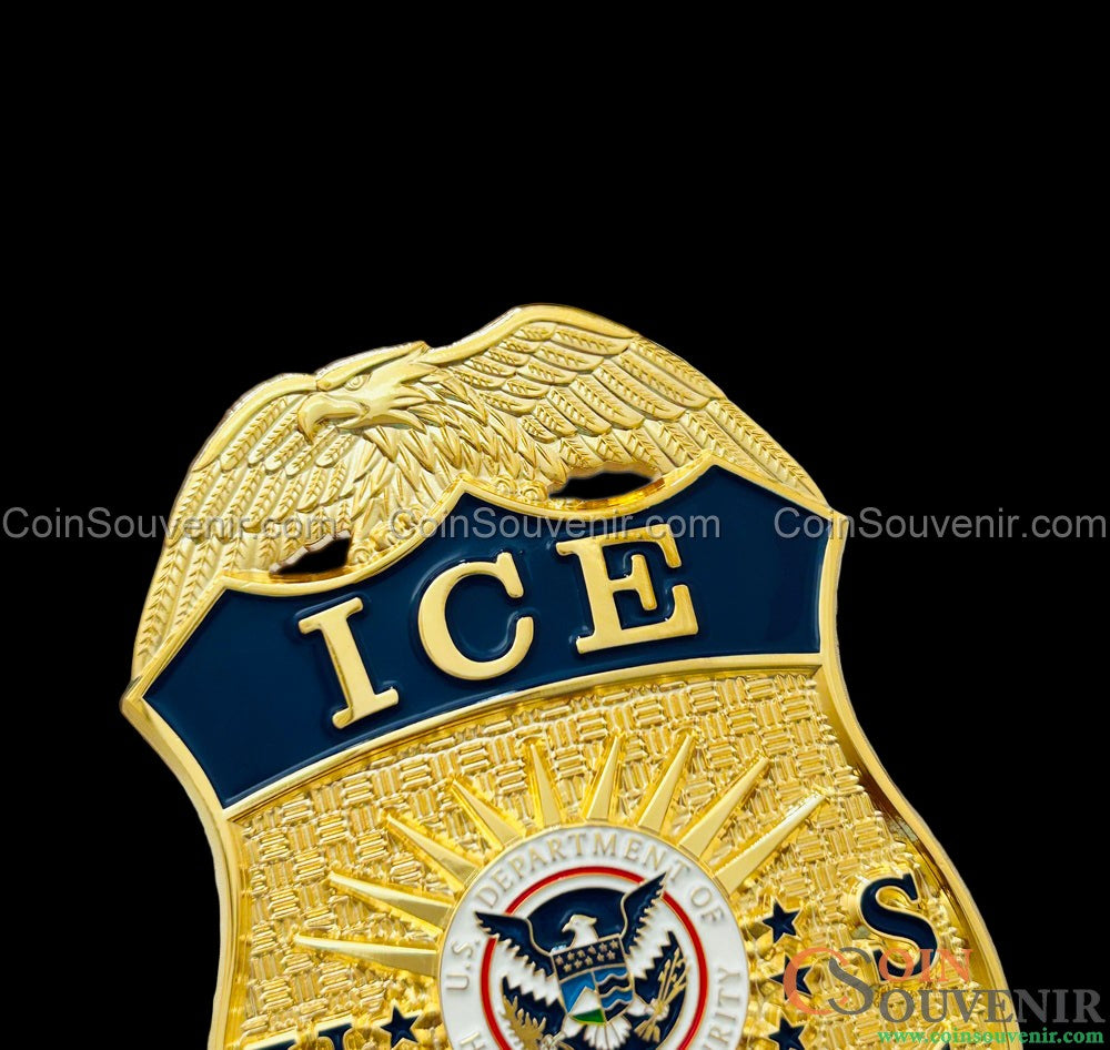 US ICE TFO Task Force Officer Badge Gold