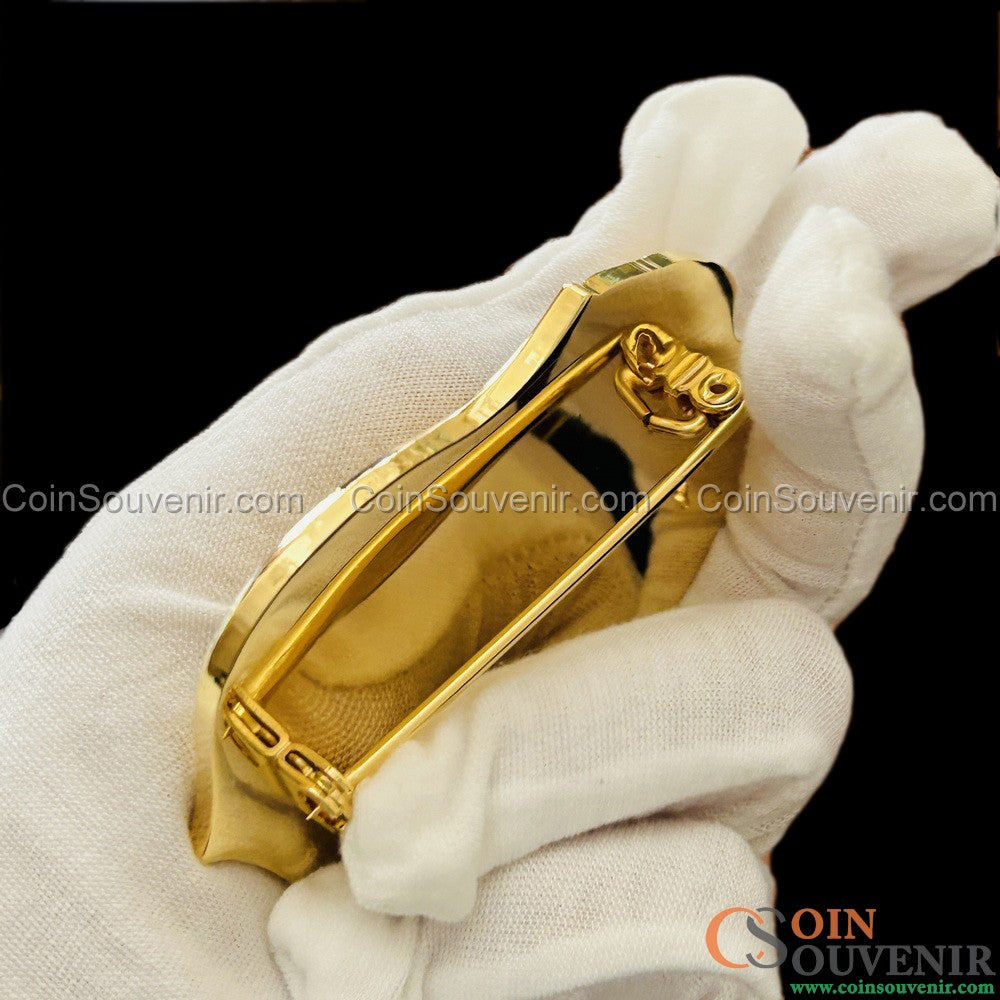 US ICE TFO Task Force Officer Badge Gold