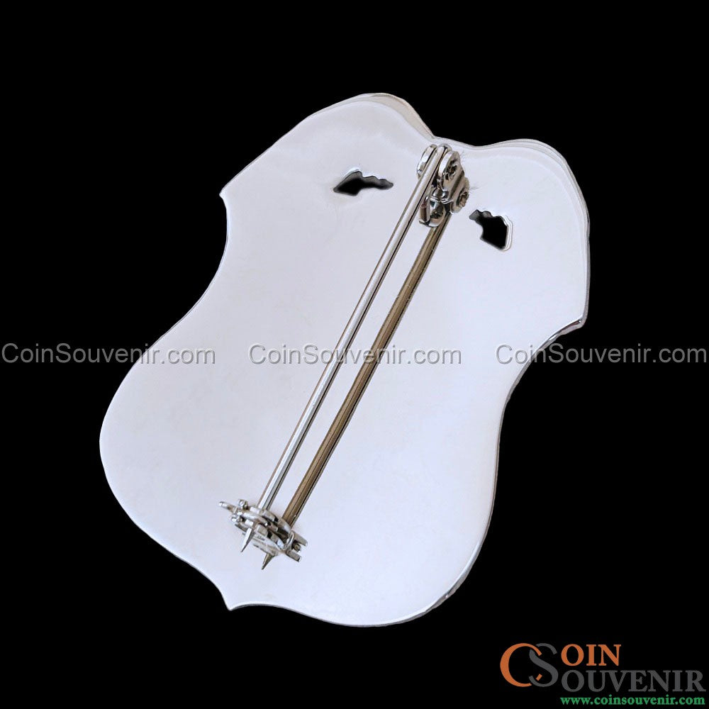 USPIS TFO U.S. Postal Inspection Service Task Force Officer Badge Silver