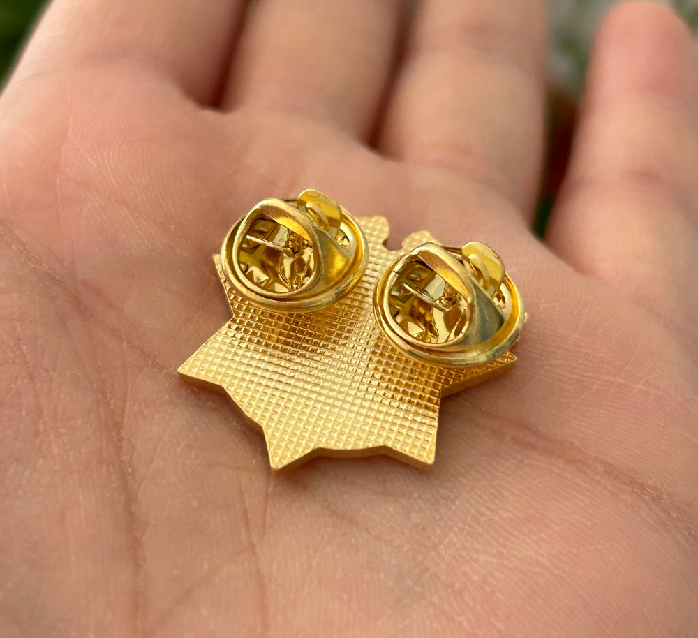 CHP California Highway Patrol EXPERT Shooting Lapel Pin