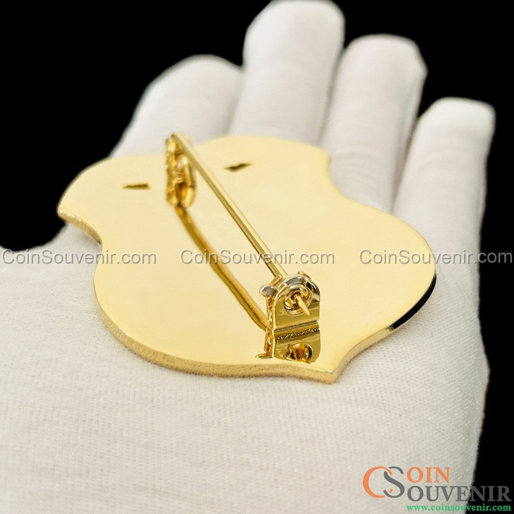 DHS OIG Office of Inspector General Special Agent Badge