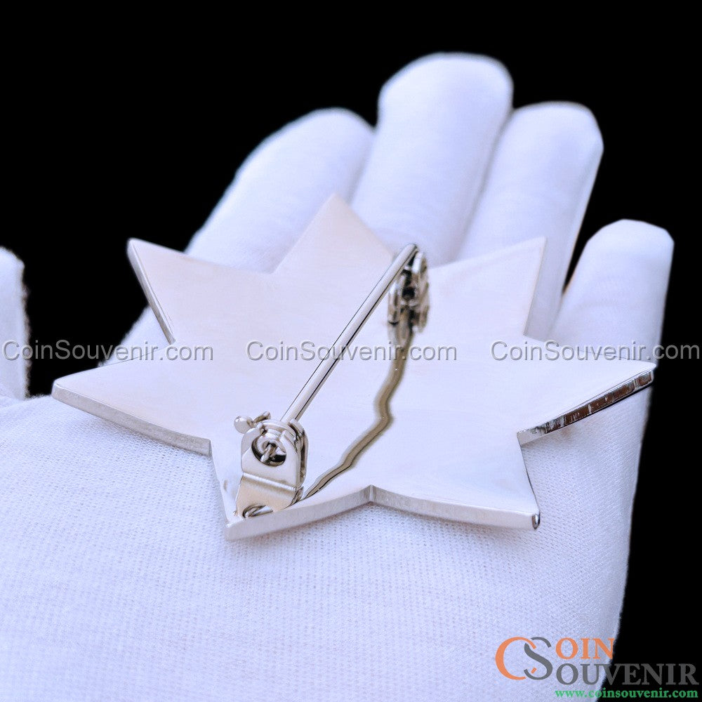 FCPD Foster City Police Retired Star Badge