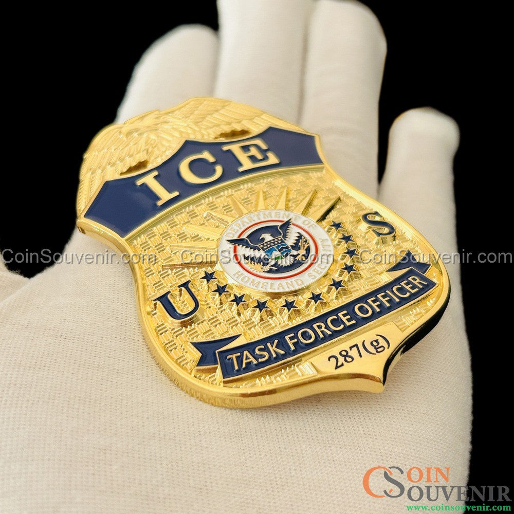 US ICE TFO Task Force Officer Badge 287(g)