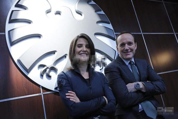 Agents of S.H.I.E.L.D. Shield Badge Brooch Pin TV Movie Props