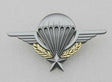 French Foreign Legion Paratrooper Wings Badge Pin