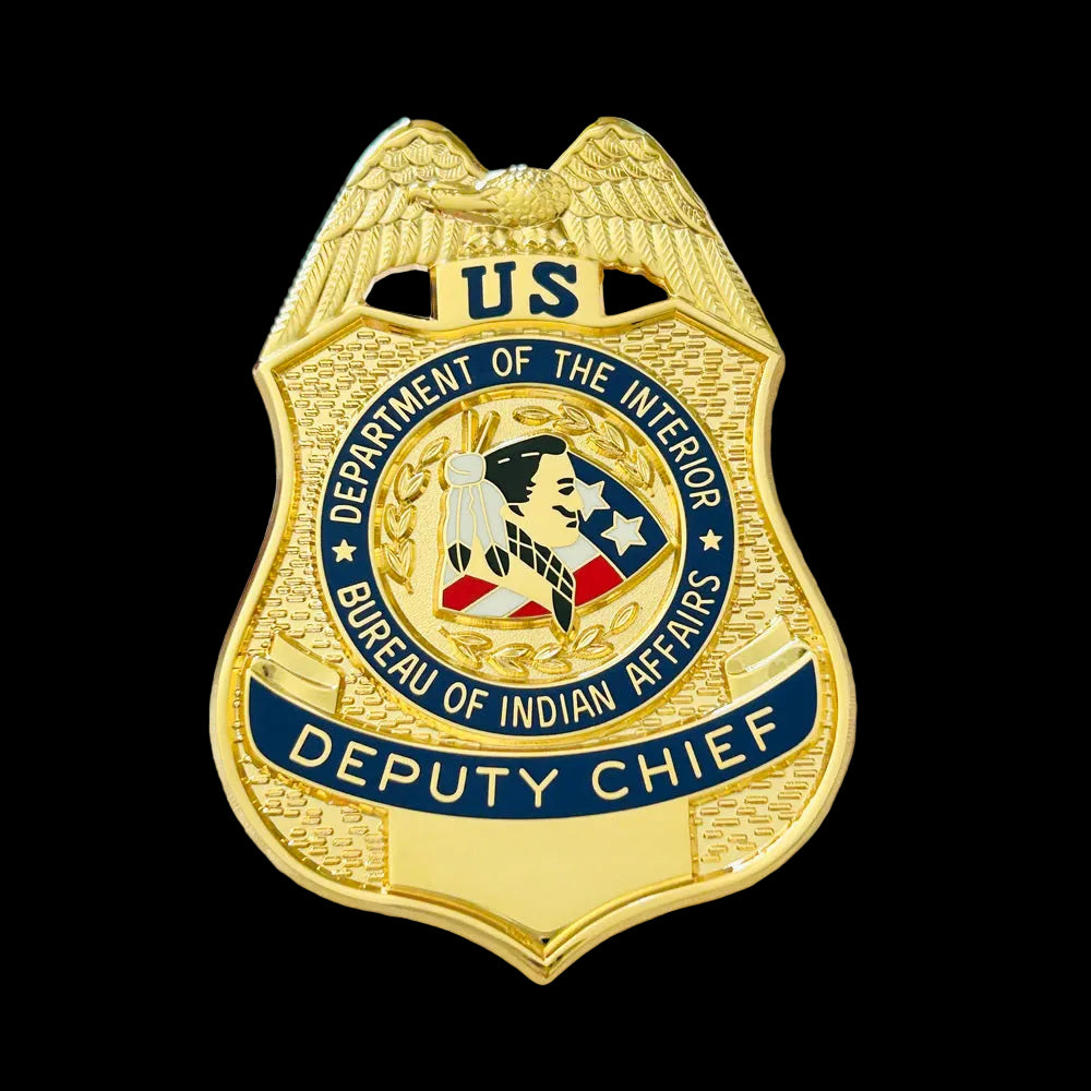BIA DOI Bureau of Indian Affairs Deputy Chief Badge Museum Quality