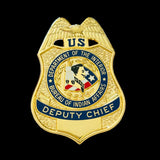 BIA DOI Bureau of Indian Affairs Deputy Chief Badge Museum Quality