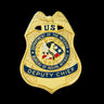 BIA DOI Bureau of Indian Affairs Deputy Chief Badge Museum Quality