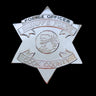 CCSPD Cook County Sheriff’s Police Officer Badge