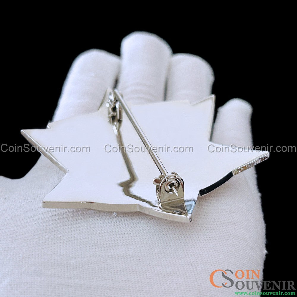CCSPD Cook County Sheriff’s Police Officer Badge