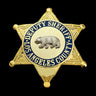 LASD Los Angeles County Deputy Sheriff Star Badge Premium Enamel Exact Replica