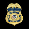 CGSF US Coast Guard Security Forces Badge Museum Quality