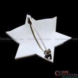 CCSO Cook County Sheriff Star Deputy Badge Premium Enamel Exact Replica