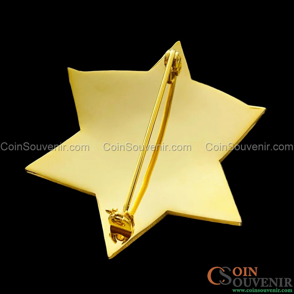 CCSO Cook County Sheriff Star Gold Badge Premium Enamel Exact Replica