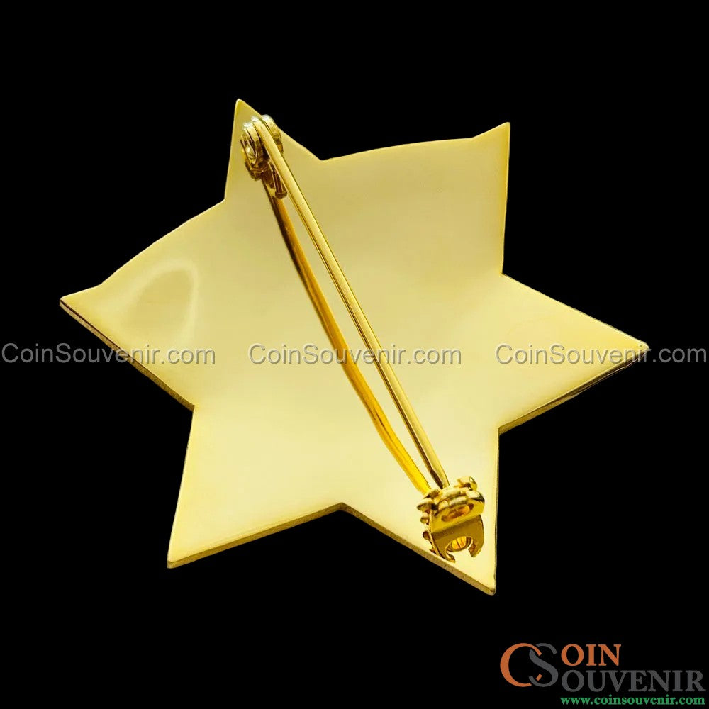 CCSO Cook County Sheriff Star Gold Badge Premium Enamel Exact