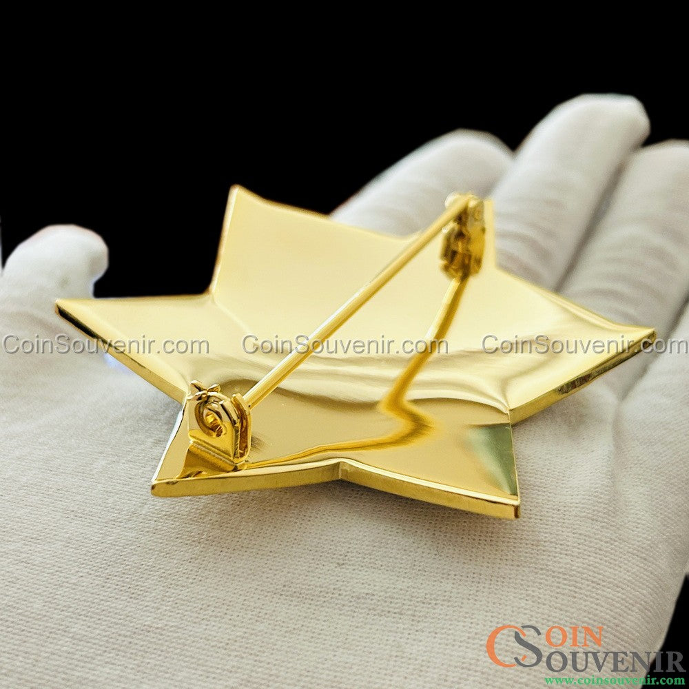 CCSO Cook County Sheriff Star Gold Badge Premium Enamel Exact Replica