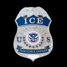 US ICE TFO Task Force Officer Badge Silver