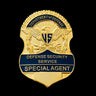 U.S. DOD DSS Defense Security Service Special Agent Badge