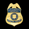 U.S. Customs Treasury Special Agent Badge MUSEUM QUALITY