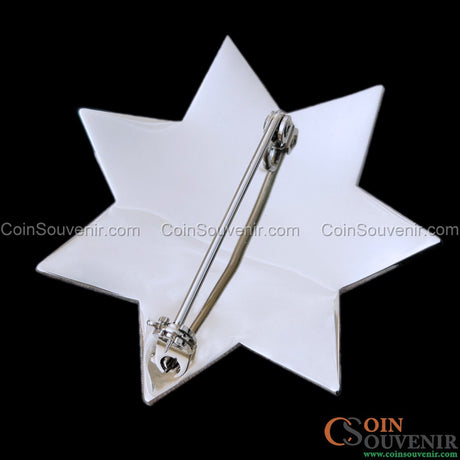 FCPD Foster City Police Retired Star Badge