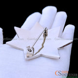 FCPD Foster City Police Retired Star Badge