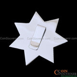 FCPD Foster City Police Retired Flat Star Badge