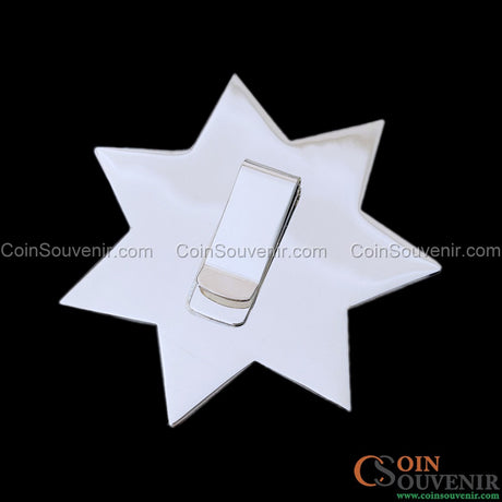 FCPD Foster City Police Retired Flat Star Badge