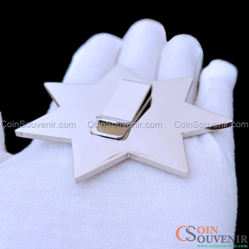 FCPD Foster City Police Retired Flat Star Badge
