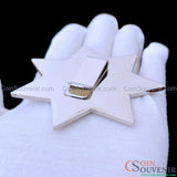 FCPD Foster City Police Retired Flat Star Badge