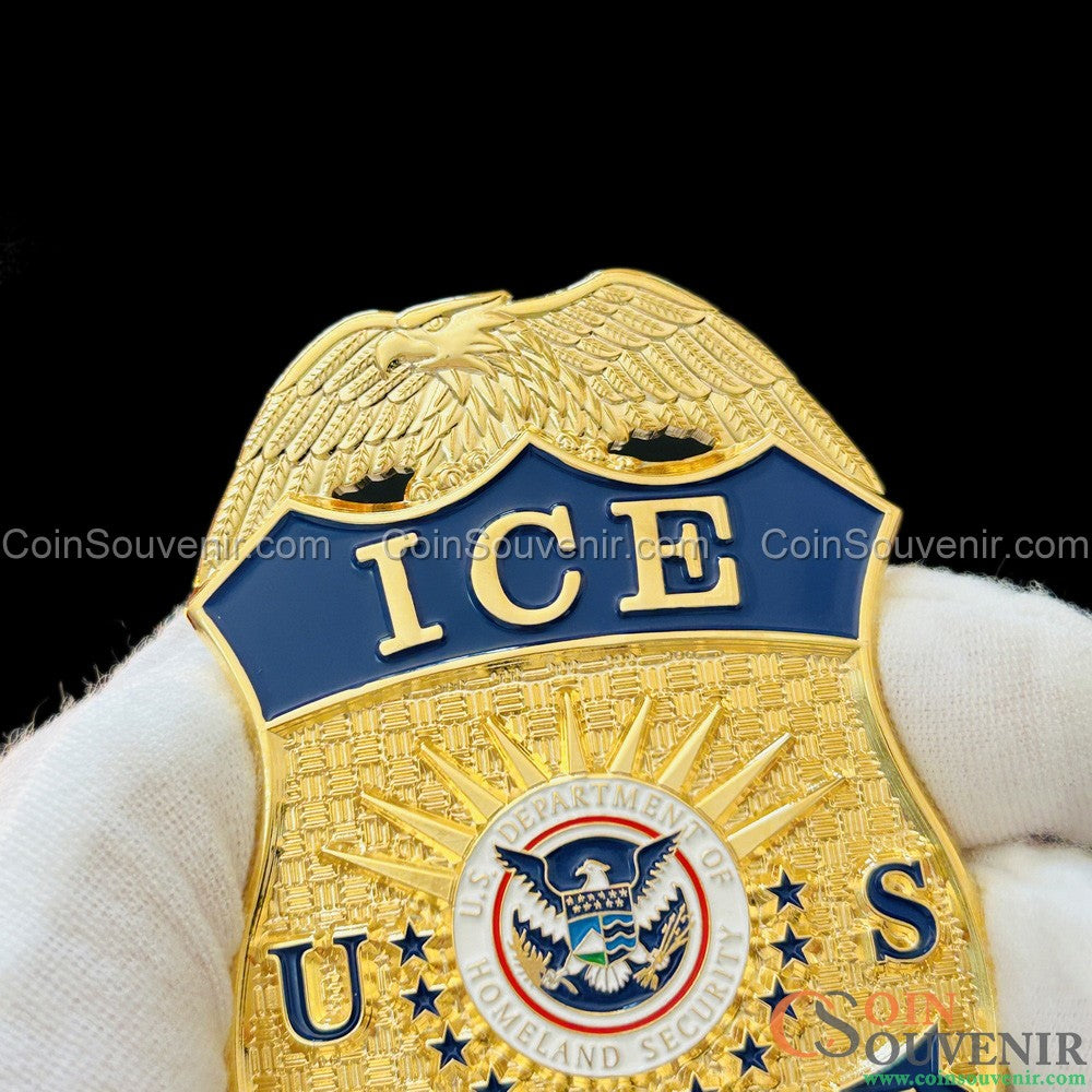 US ICE TFO Task Force Officer Badge 287(g)