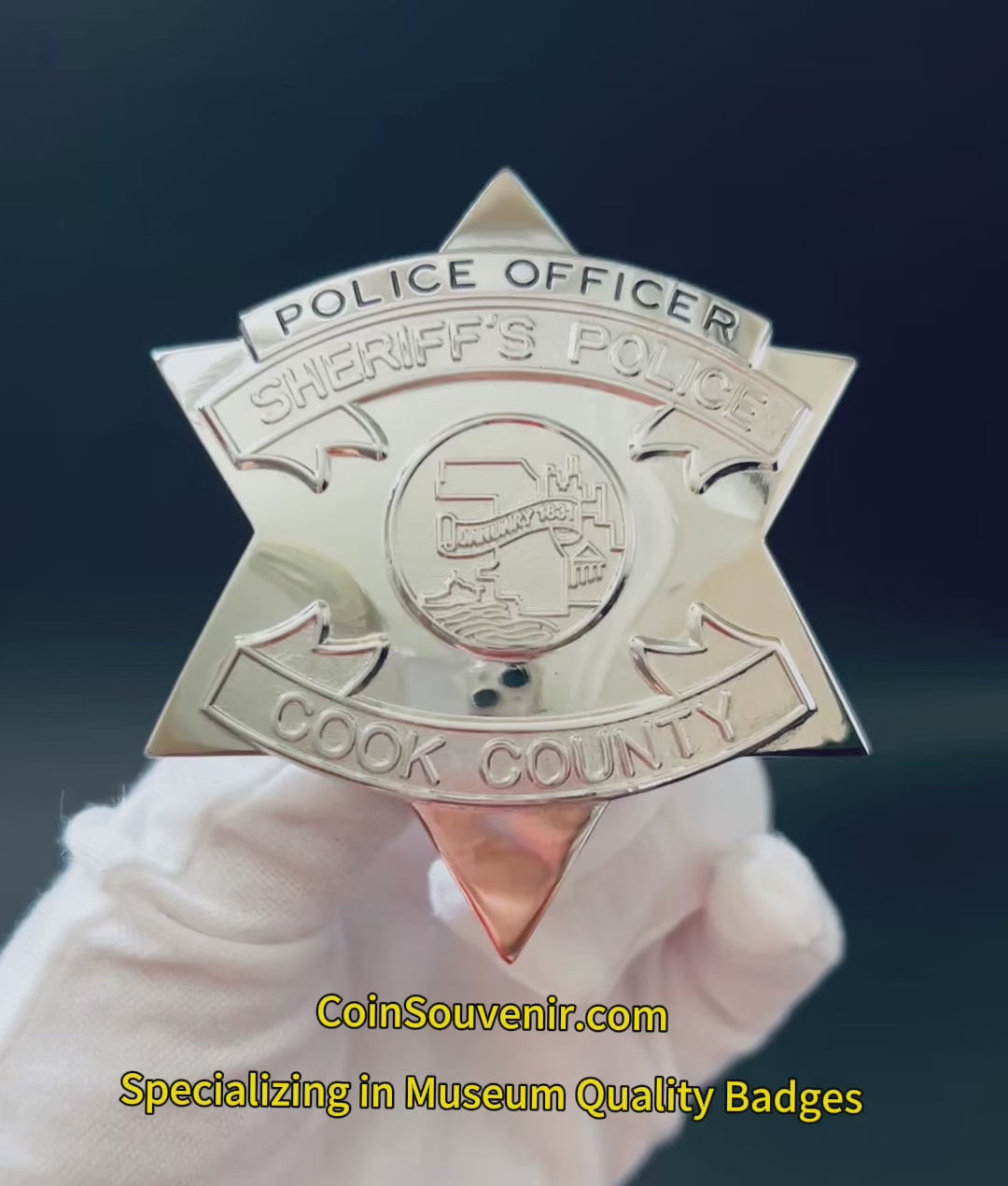 CCSPD Cook County Sheriff’s Police Officer Badge