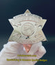 CCSPD Cook County Sheriff’s Police Officer Badge