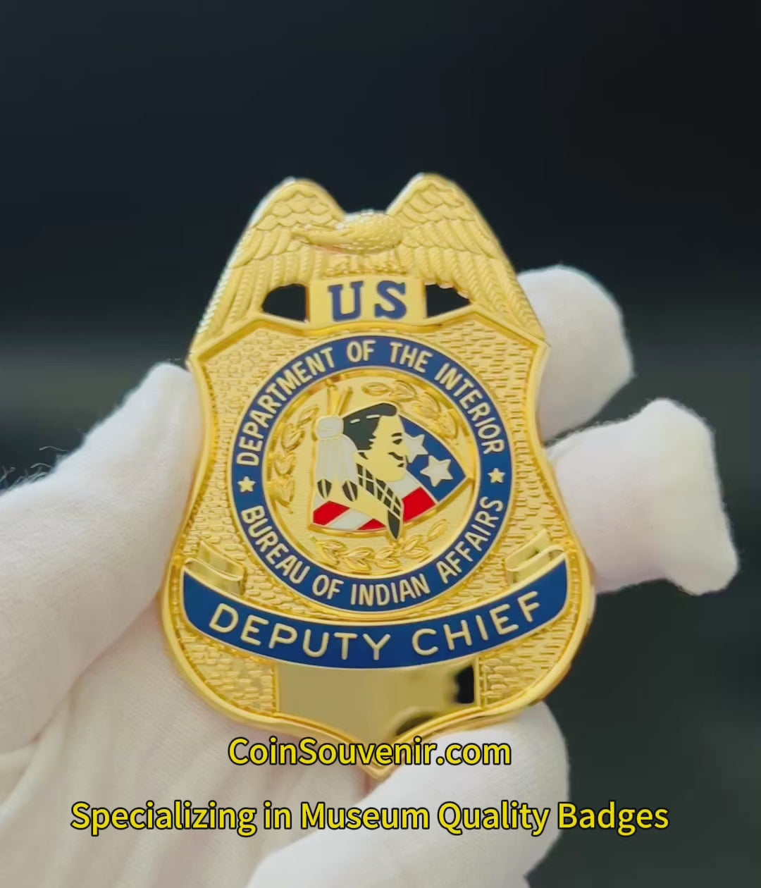 BIA DOI Bureau of Indian Affairs Deputy Chief Badge Museum Quality
