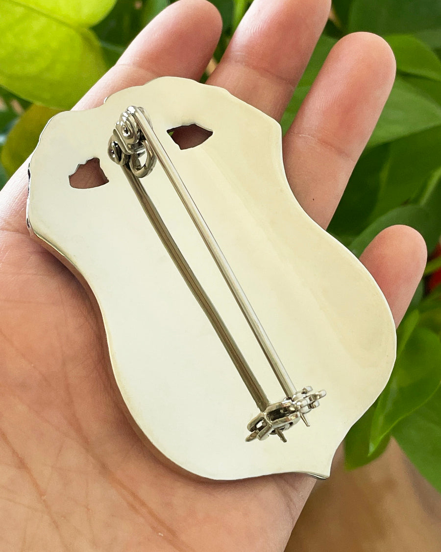 US HSI TFO Task Force Officer Badge Homeland Security Investigations R