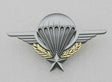 French Foreign Legion Paratrooper Wings Badge Pin